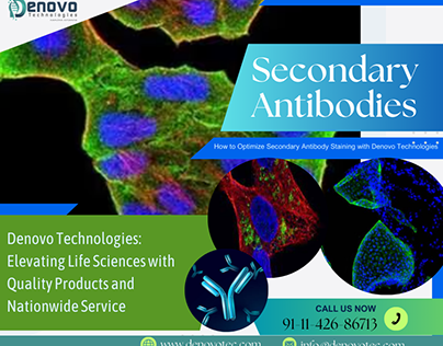Secondary Antibody Staining with Denovo Technologies