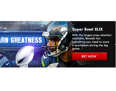 Super Bowl XLIX banner