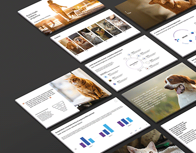 Interactive booklet design for a pet food brand