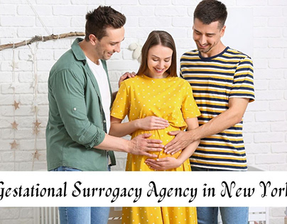 Gestational Surrogacy Agency in New York