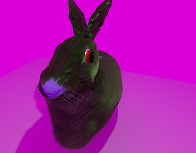 Sick rabbit