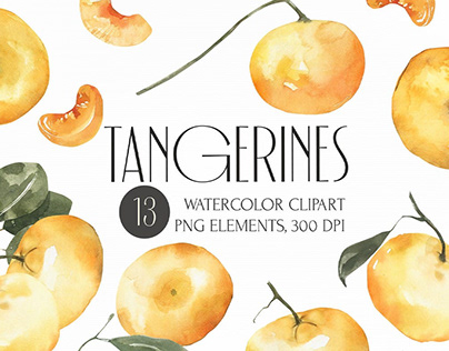 Watercolor Tangerines clipart. Summer fruits
