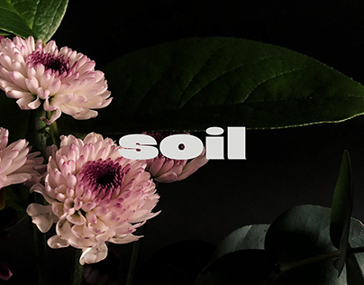 soil x the shed - floral shop & live music