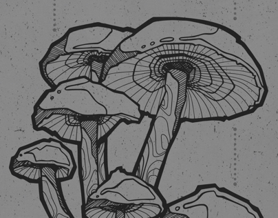 Weird Mushrooms