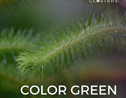 Color green photo contest invitation