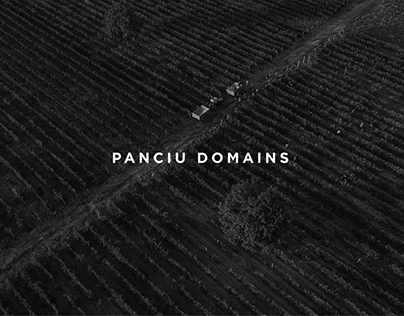 Panciu Domains - Winery Resort - Rebranding