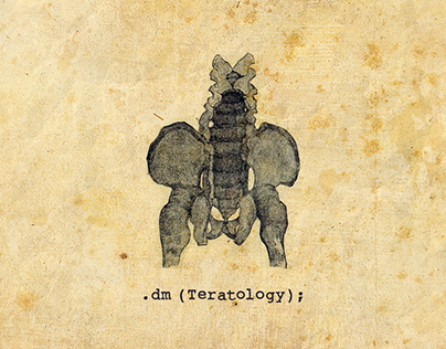 .dm - Teratology (cover+booklet)