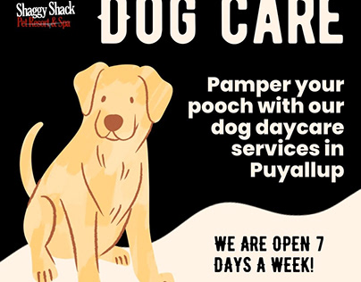 Pamper your pooch with dog daycare services in Puyallup