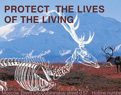 Society for the protection of reindeer