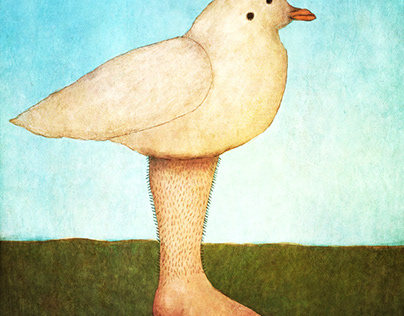 seagull on a leg