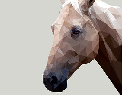 Portraits of animals using low poly technique