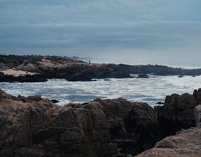 Coastline of Monterey
