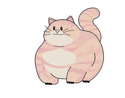 Cute Chubby Cat