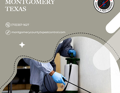 Affordable Pest Control Service in Montgomery Texas