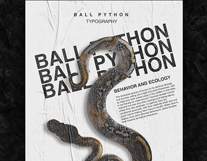 Ball Python Poster