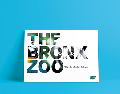 Bronx Zoo Redesign