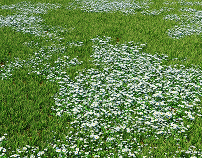 NVidia iray+ Beta 1,3 rendering test with forest plant
