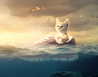 Ocean Kitty