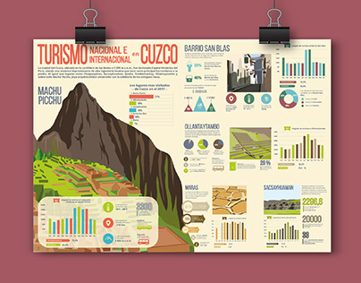 Infographic Proyects