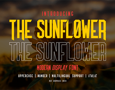 THE SUNFLOWER DISPLAY FONT