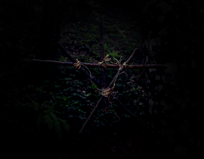 Blair Witch Project - Main Title
