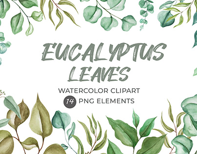 Watercolor background with hand drawn eucalyptus leaves