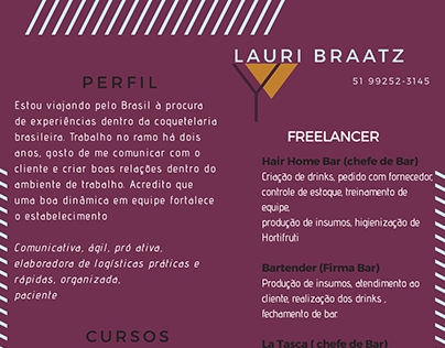 Currículo Lauri Braatz