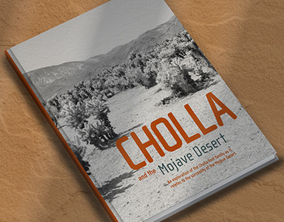 Cholla and the Mojave Desert - Type Specimen