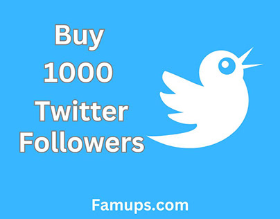 Buy 1000 Twitter Follower To Transform Your Profile