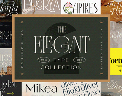 The Elegant Type Collection - 95% Off