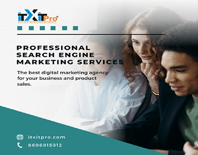 Professional Search Engine Marketing Services