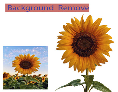 Auto Background Remover fr Android background isolator