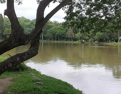 Lago no parque Redenção- Porto Alegre-RS.