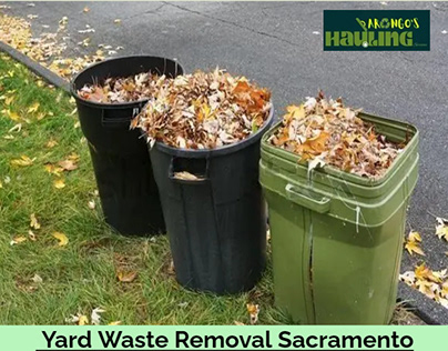 Yard Waste Removal Sacramento