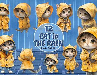 Cat in The Rain