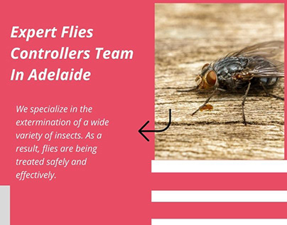 Project thumbnail - Expert Flies Controllers Team In Adelaide