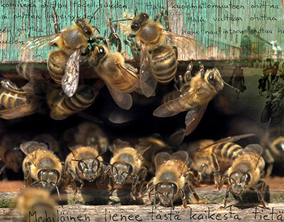 "Mehiläishoito", "Bee Keeping", shortmovie