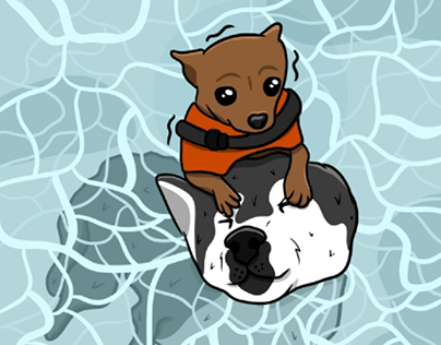 Project thumbnail - Two dogs, one pool.