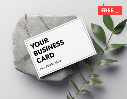 Free Business Card with stone and branch PSD Mockup