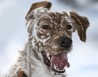Digital Painting - Realistic Dog Portraits