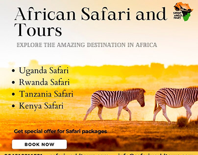 African Safari and Tours