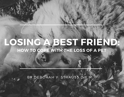 Losing A Best Friend: Coping With The Loss Of A Pet