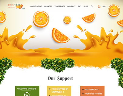 Orange website design