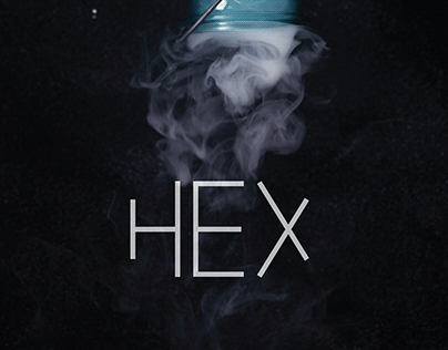 Logo & Brand Guideline "HEX"