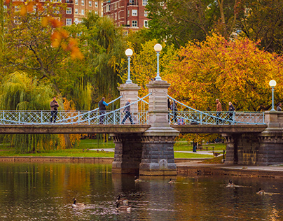 Boston - Fall