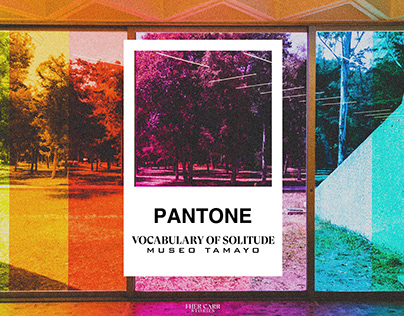 PANTONE | "Vocabulary of Solitude" Museo Tamayo