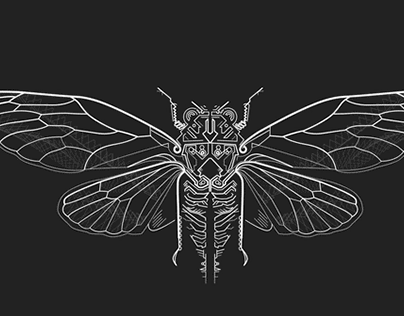 Geometric Cicada Insect Generation
