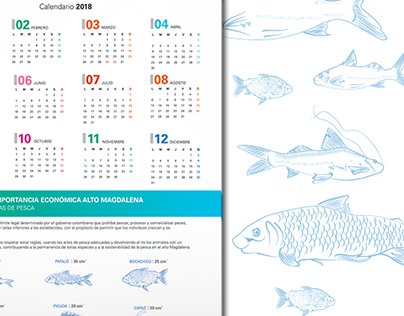 Ilustraciones para: Calendario Pescadores