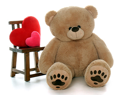 Buy Plush Teddy Bear - Giant Teddy