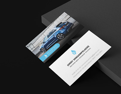 Business Card - Second Skin Window Tinting